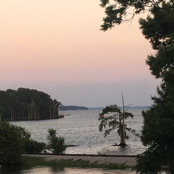 Meet your Posher, Caroline - Picture 1 of 1